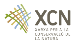 logo_xcn